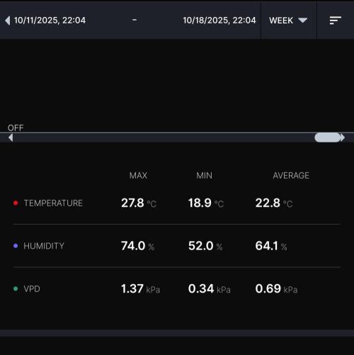 Biscotti Gelato (GDG 24 #1). Week 7