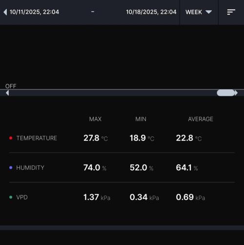 Gelato (GDG24 #2). Week 6