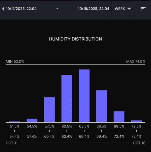 Gelato (GDG24 #2). Week 6