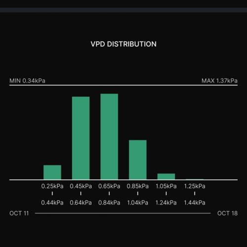Gelato (GDG24 #2). Week 6