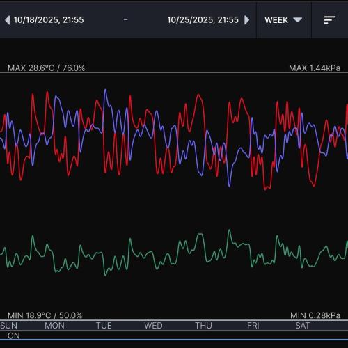 Biscotti Gelato (GDG 24 #1). Week 8 - Week 8 environment 