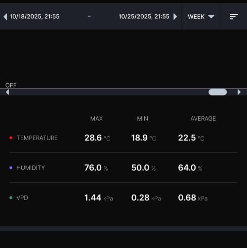 Biscotti Gelato (GDG 24 #1). Week 8