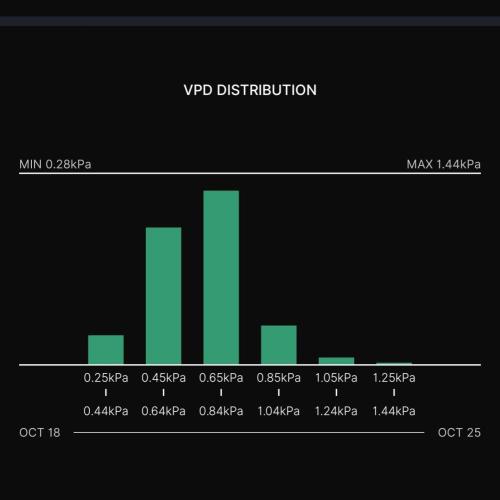 Gelato (GDG24 #2). Week 7