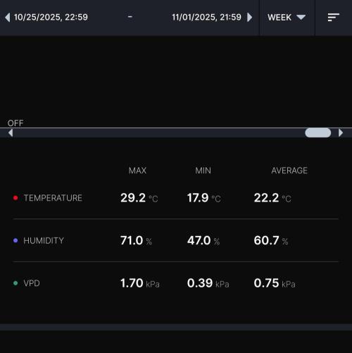 Biscotti Gelato (GDG 24 #1). Week 9