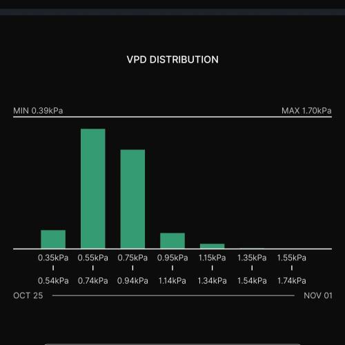 Biscotti Gelato (GDG 24 #1). Week 9