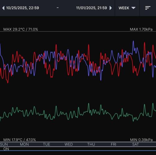 Gelato (GDG24 #2). Week 8 - Week 8 environment 