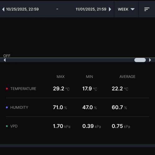 Gelato (GDG24 #2). Week 8
