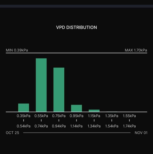 Gelato (GDG24 #2). Week 8
