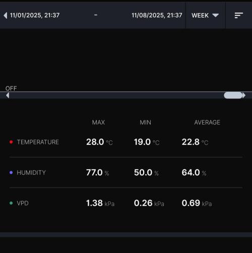 Biscotti Gelato (GDG 24 #1). Week 10