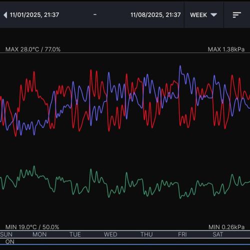 Gelato (GDG24 #2). Week 9 - Week 9 environment 