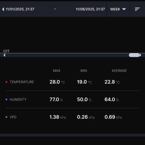 Gelato (GDG24 #2). Week 9