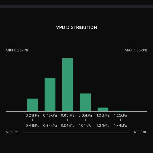 Gelato (GDG24 #2). Week 9