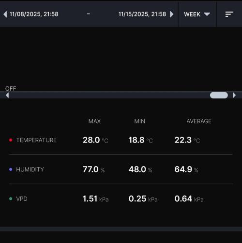 Gelato (GDG24 #2). Week 10
