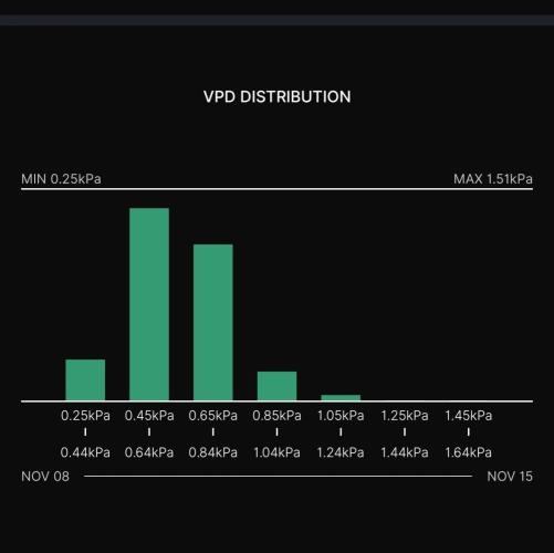 Gelato (GDG24 #2). Week 10