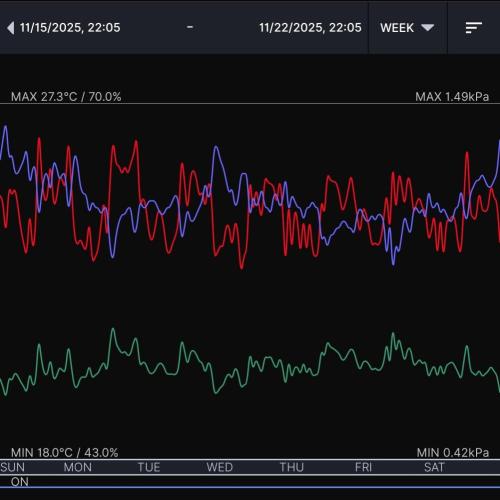 Gelato (GDG24 #2). Week 11 - Week 11 environment 