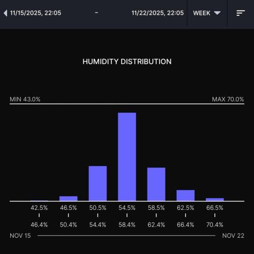 Gelato (GDG24 #2). Week 11