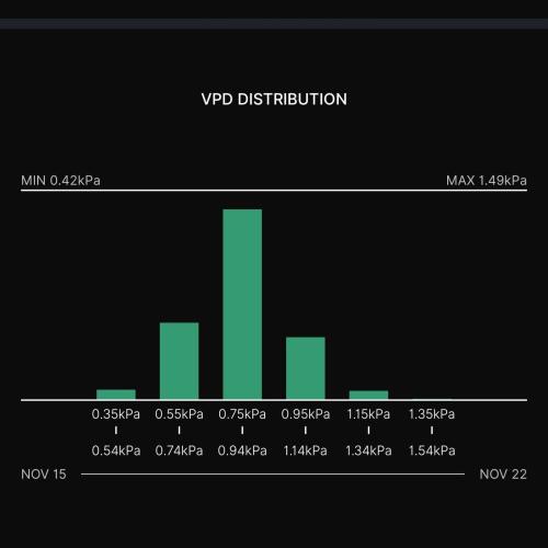 Gelato (GDG24 #2). Week 11