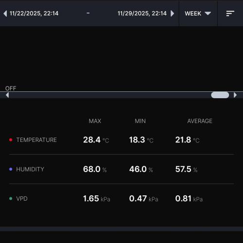Biscotti Gelato (GDG 24 #1). Week 13