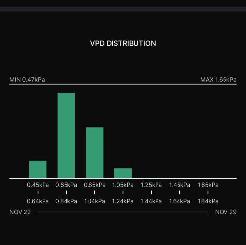 Biscotti Gelato (GDG 24 #1). Week 13