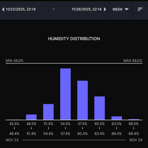 Gelato (GDG24 #2). Week 12