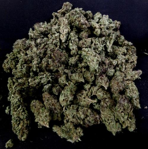Biscotti Gelato (GDG 24 #1). Week 19