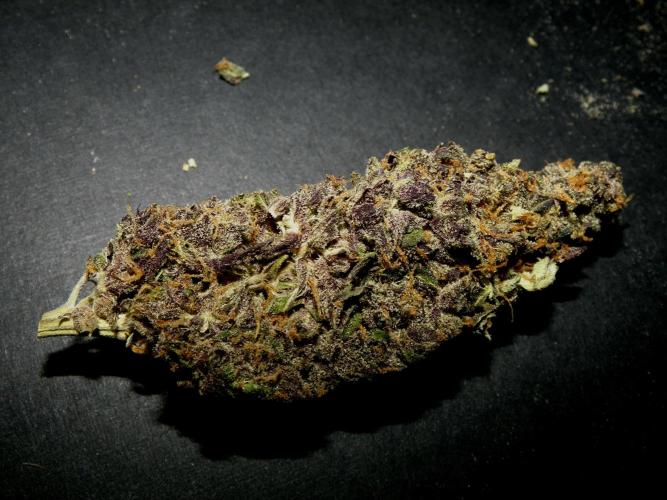 Gelato (GDG24 #2). Week 19