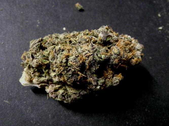 Gelato (GDG24 #2). Week 19