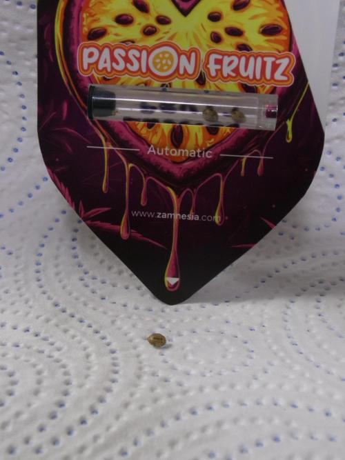 Pass Fruitz (GDG25 #2). Week 0 - Chosen seed