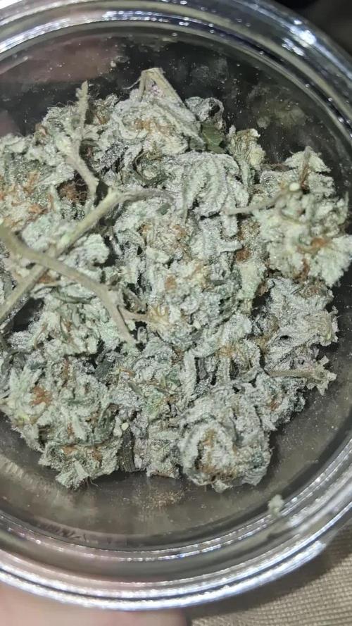 Grow #2