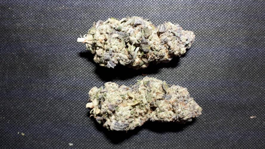 ILGM (COLORS BY CULTIVAR). Week 18