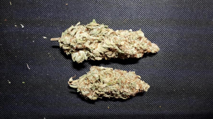 420 FASTBUDS PHOTOPERIODS GROW. Week 18