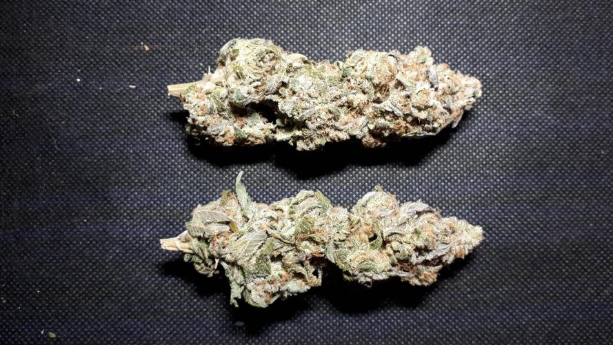 420 FASTBUDS PHOTOPERIODS GROW. Week 18