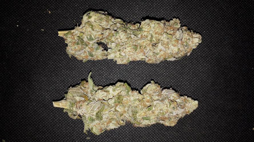 420 FASTBUDS PHOTOPERIODS GROW. Week 18