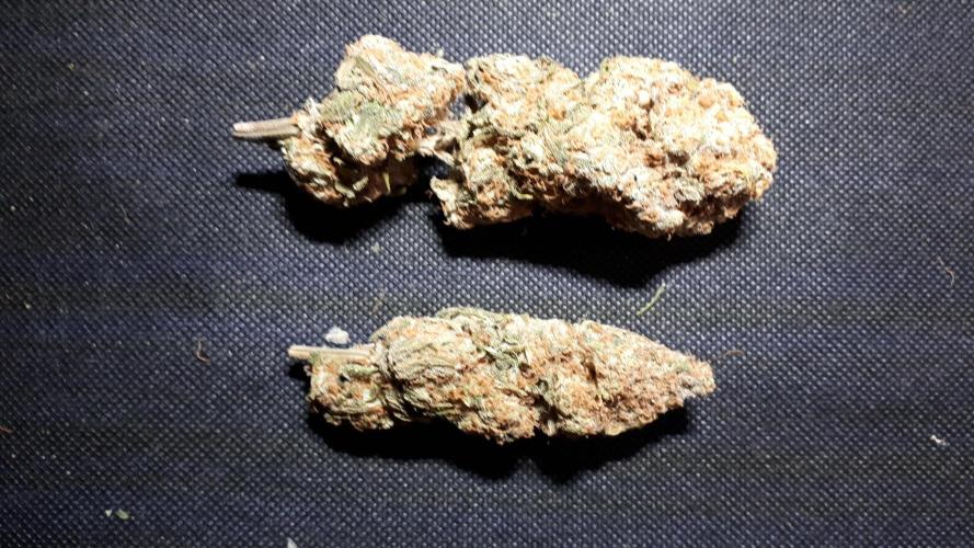 420 FASTBUDS PHOTOPERIODS GROW. Week 18