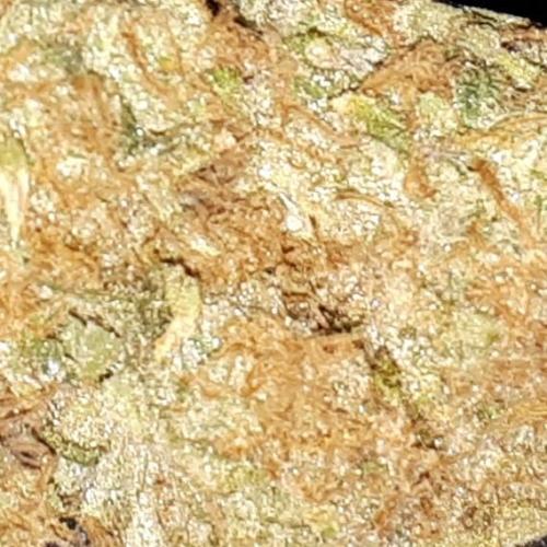 420 FASTBUDS PHOTOPERIODS GROW. Week 18