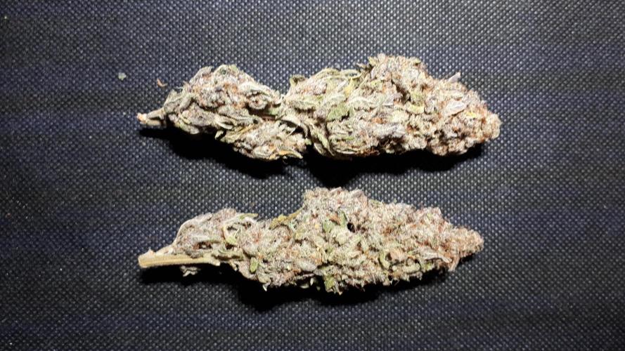 420 FASTBUDS PHOTOPERIODS GROW. Week 18