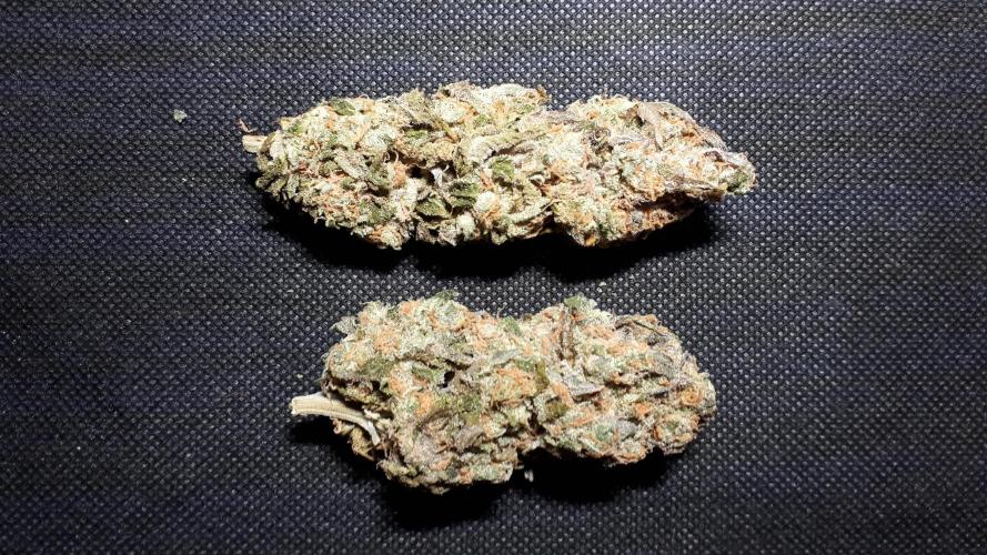 420 FASTBUDS PHOTOPERIODS GROW. Week 18