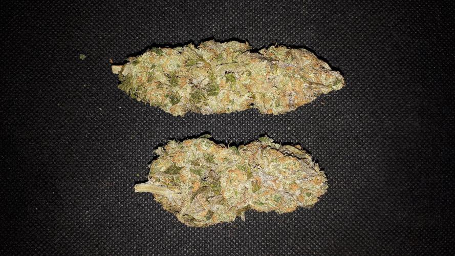 420 FASTBUDS PHOTOPERIODS GROW. Week 18