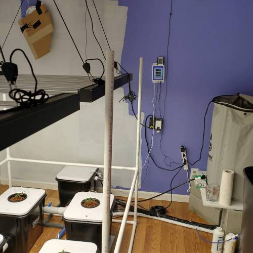 Small Undercurrent Test. Week 1 - System set up in a 11' x 10' spare bedroom. I almost painted the walls white.