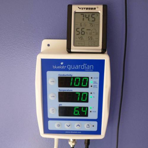 Small Undercurrent Test. Week 1 - The room hasn't come up to temp yet.