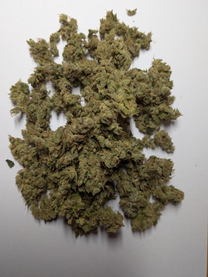 Barney's Angels. Week 14 - Bruce Banner output is 26g but with big buds and very strong grow