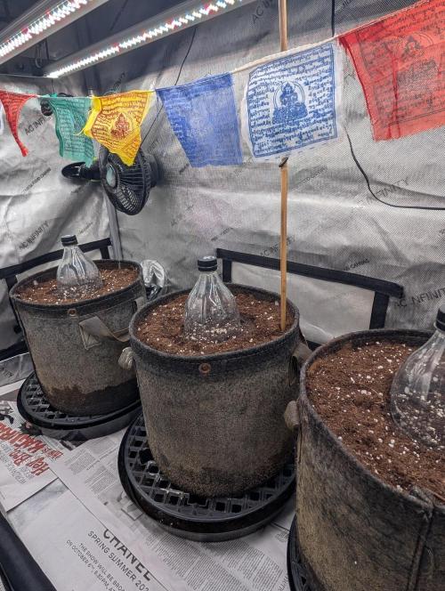 Burgundy Strawberries 🍓🇫🇷. Week 0 - Prep environment...