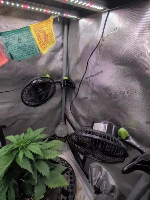 Burgundy_Strawberries🍓🇫🇷