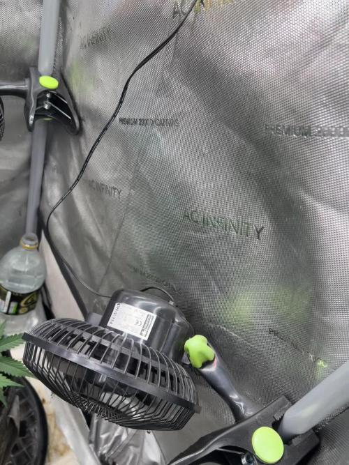 Burgundy_Strawberries🍓🇫🇷