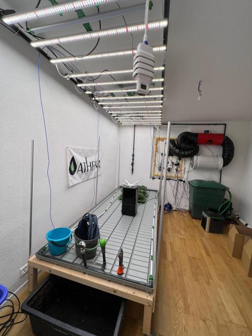 Zuncle #11 clones with Athena Pro Line. Week 1 - Room 1