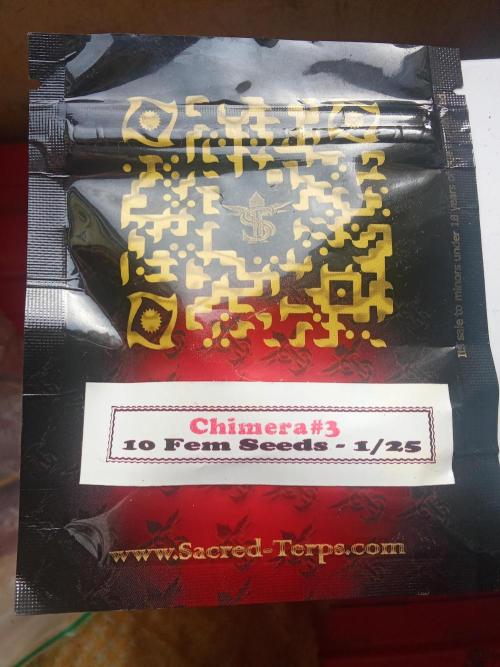 Sacred Terps _Chimera#3 X Bio Tabs. Week 0