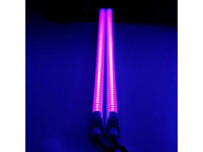 Comment by Lodzik photo #1