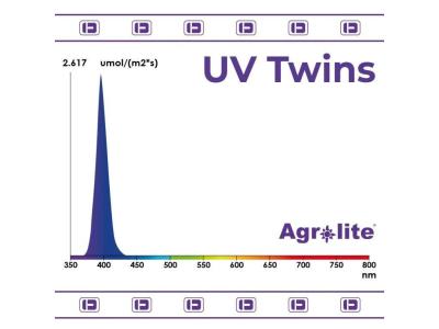 Comment by Lodzik photo #2