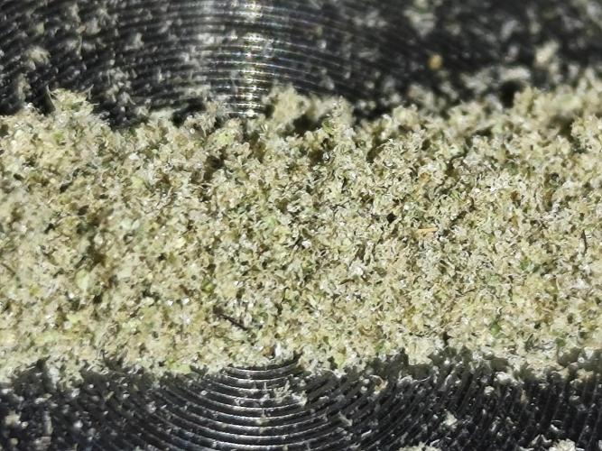 Frozen Black Cherry (Anesia Seeds). Week 14 - Kief from the grinder 😄