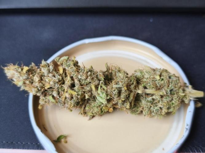 Frozen Black Cherry (Anesia Seeds). Week 17 - after 3 weeks of curing in the jar